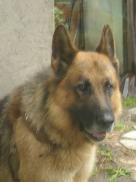 Мальцев Кирилл