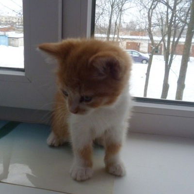 Татьяна Ковалёва