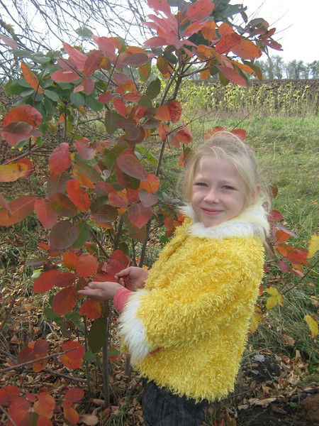 Вика Зюркевич