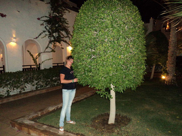 Оксана Гурьева