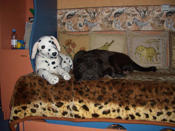 Сергей Вербицкий