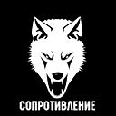 Кирилл Пензин