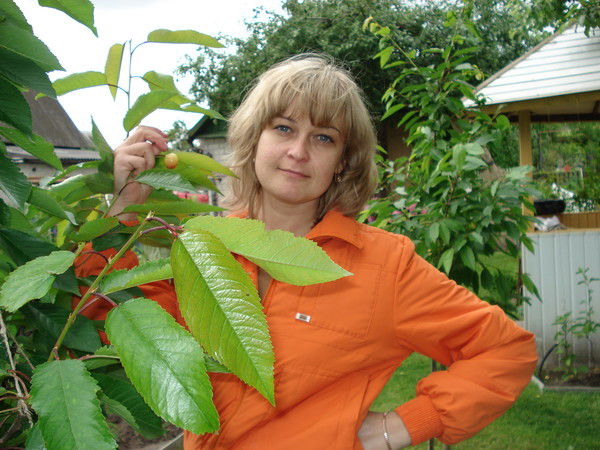 Елена Бессмертная