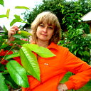 Елена Бессмертная