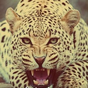 Владислав Приходько