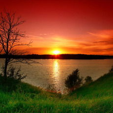 Наталья Гаврина