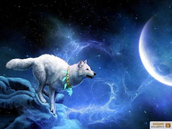 Мадина Ерболова