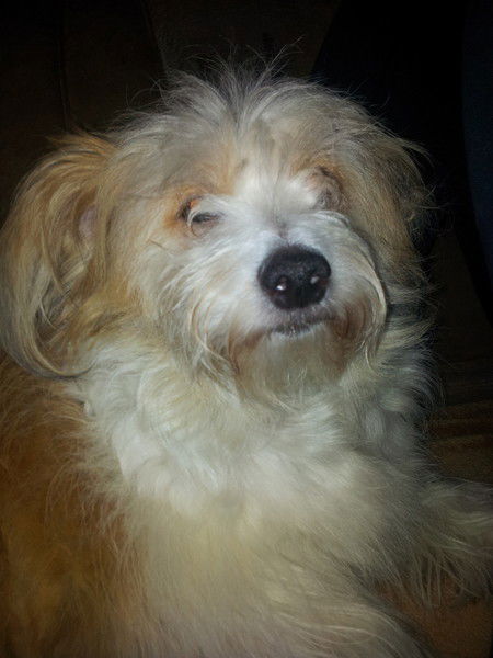 Григорий Полонников