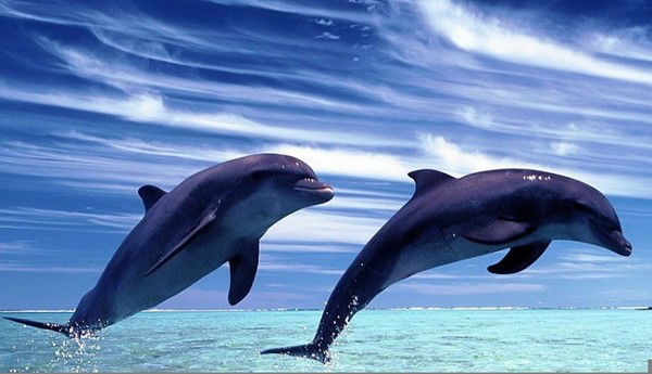 Валентина Флерковская