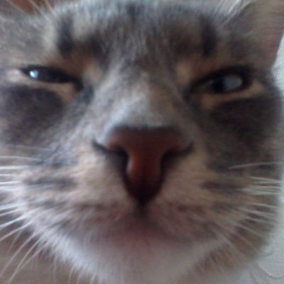 Максим Алтунин