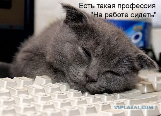 Борис Гареев