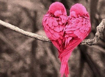 Галина Меджитова