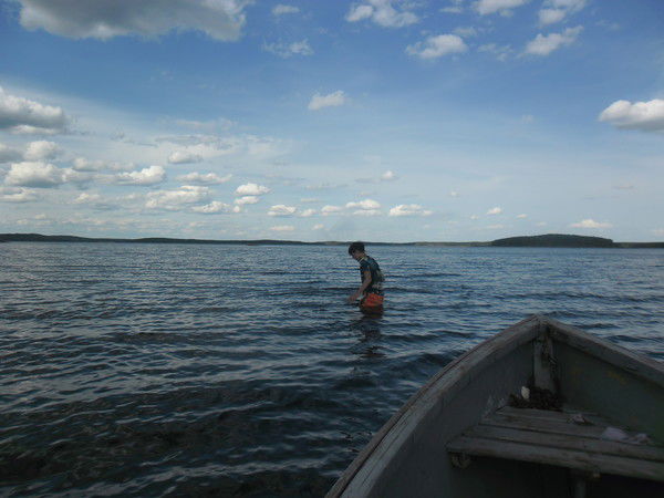 Александр Маркин