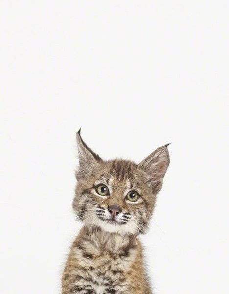 ♥Ēďįŋø®Øғǻ Šłēłǻĵ Ӎŋē♥