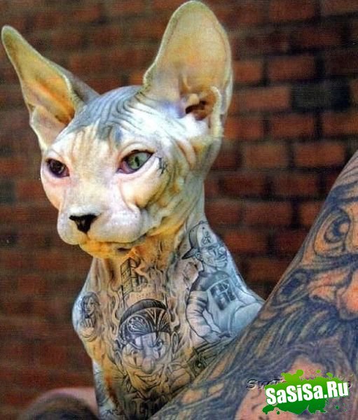 Василий Иванович