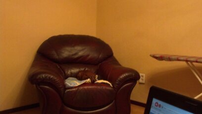 Дима Петров