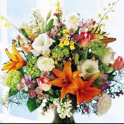 Алика Рулла