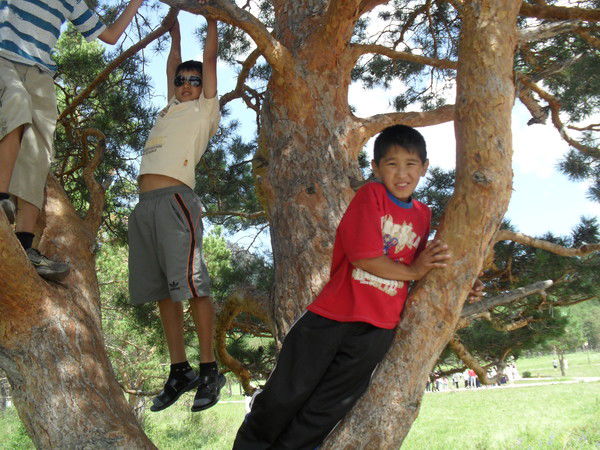 Гульбахыт ***