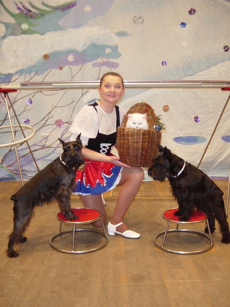 Елена, Владимир Каминские