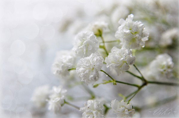 Юрковская Людмила