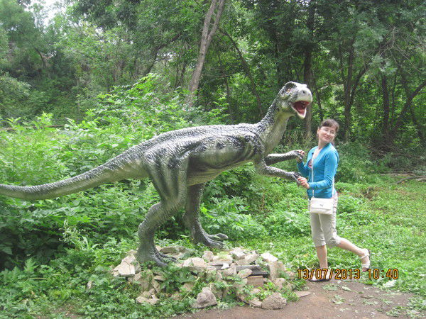 Елена Вычегжанина