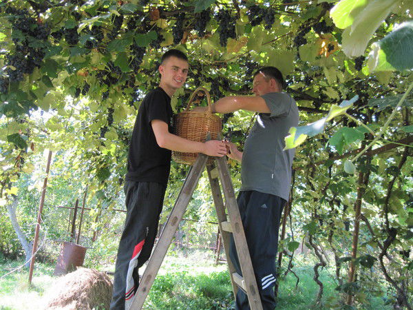 Игорь Омельчук