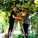 Игорь Омельчук