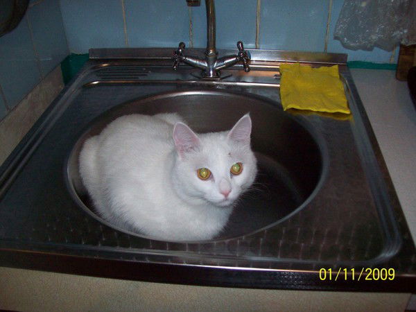 Николай Ник