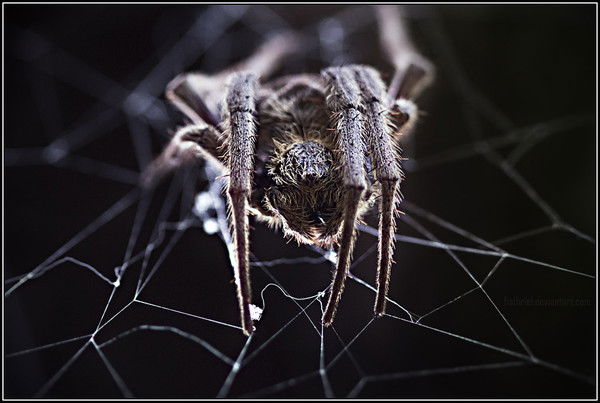 Никита Простой