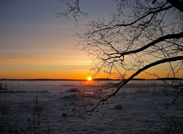 Татьяна Левченко
