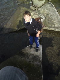 Саша Зарубин