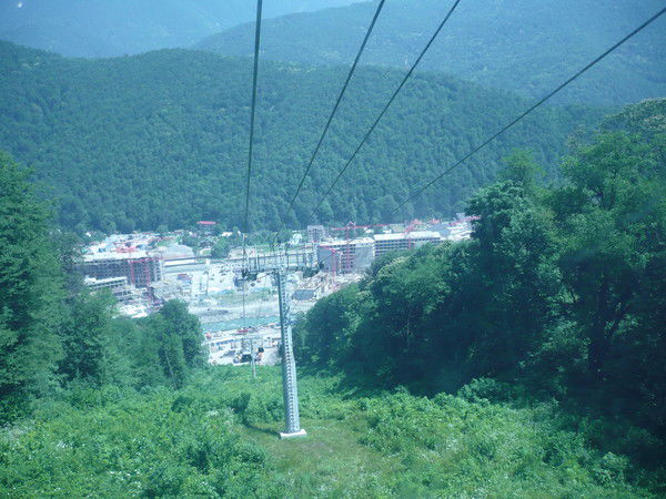 Сергей Палеев