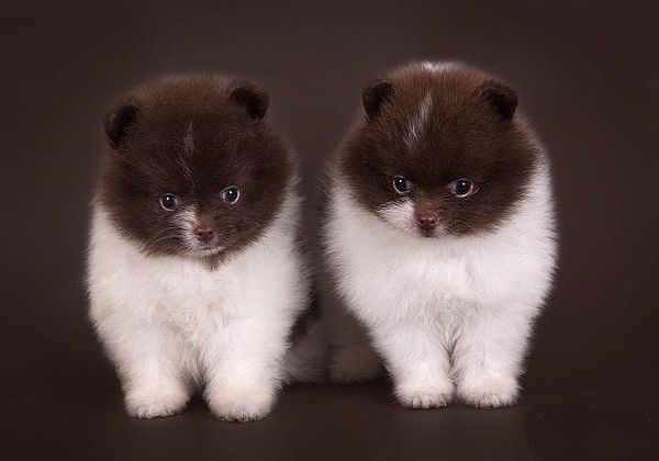 Перизат Имаганбетова