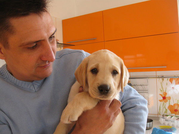 Владимир Худенко