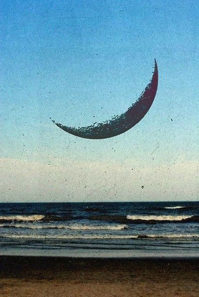 Светлана Прохорова