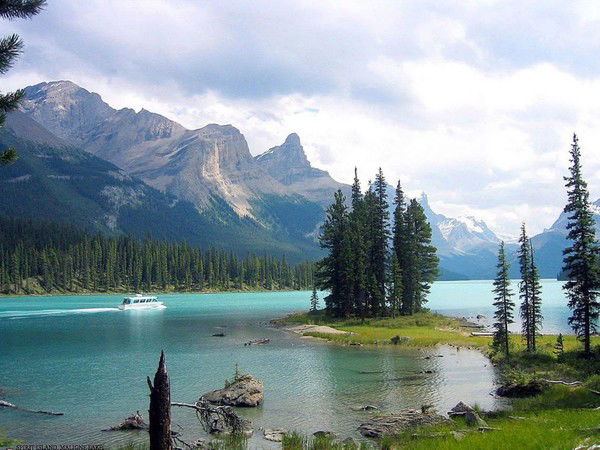 Владимир Арутюнян