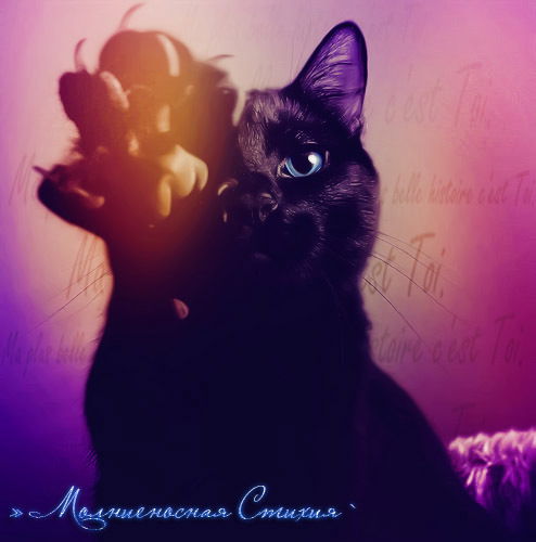 Молниеносная Стихия|Steppd|