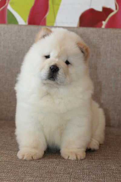 Мартина Мартина