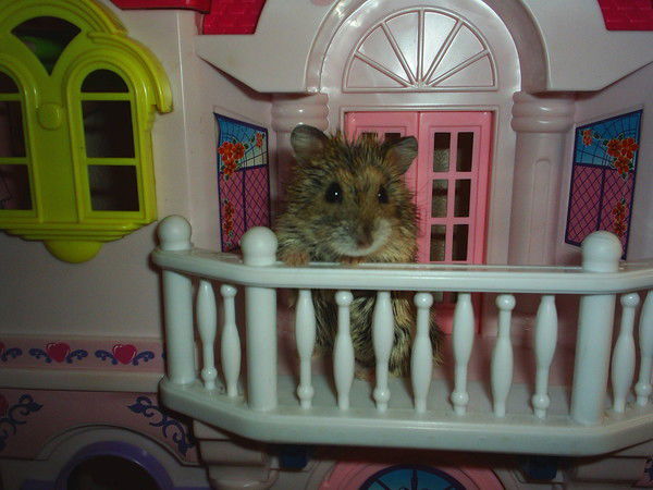 Валерий Чабыкин