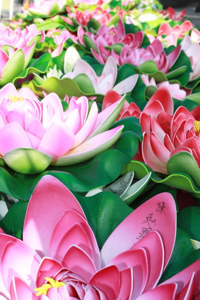 Екатерина Андреева