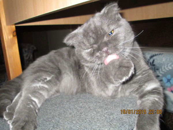 Вера Чернышева