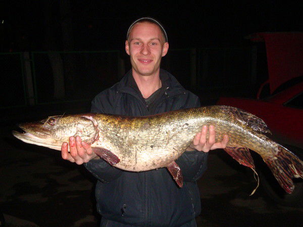 Алексей Елисеев