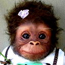 Дима Зак))....