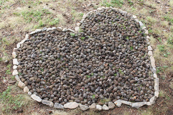 Ирина Воложанина