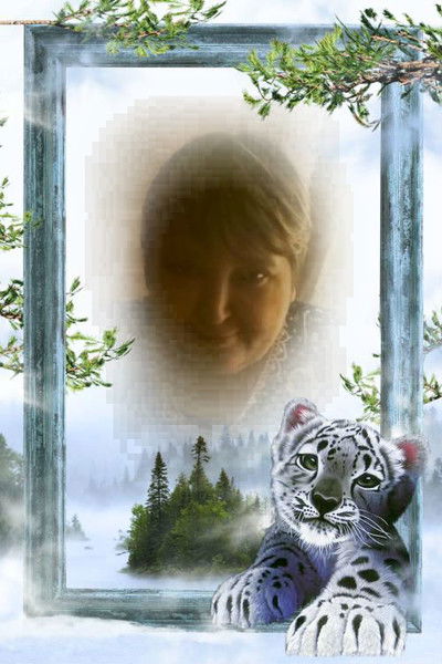 Светлана Шевцова