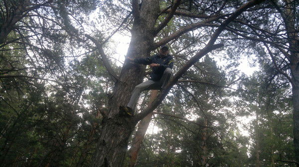 Роман Коробейников