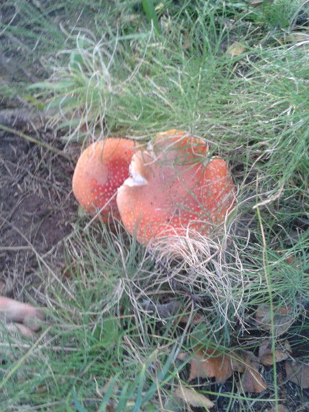 Кариночка )))