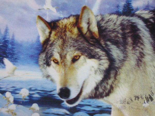 Сергей Марков