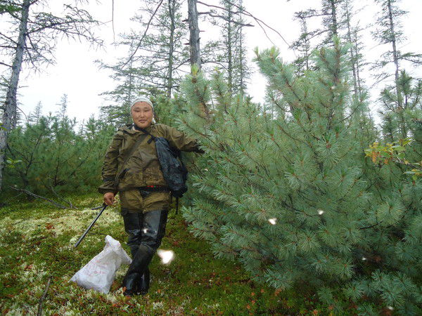 Иван Горохов