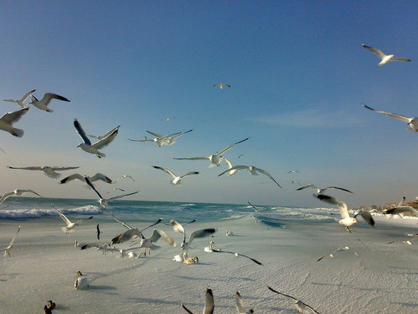 Сотрудник !!!